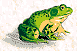 frog