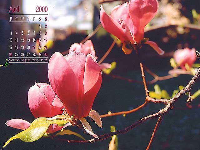 april