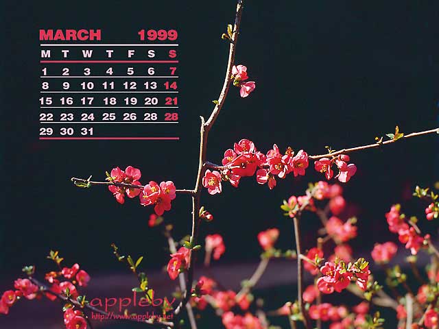 march