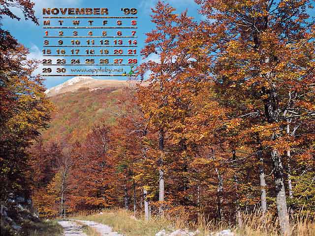 november