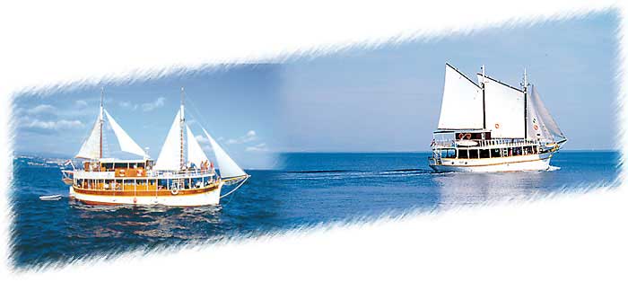 boats