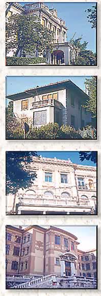 photos