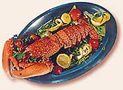 foodplatter